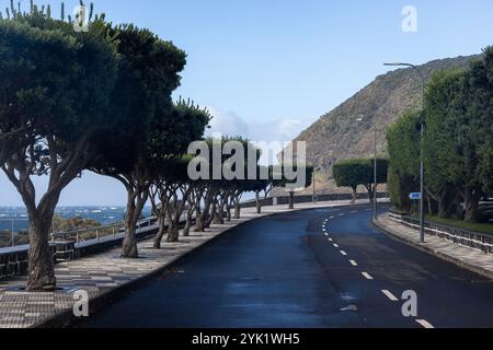 Die Stadt Velas ist eine der ältesten Siedlungsgemeinden auf der Insel Sao Jorge auf den Azoren. Stockfoto