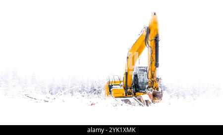 Ein Bagger im Schnee. Entwaldung Stockfoto