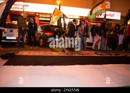 Logroño, La Rioja, Spanien. November 2024. Aktivistinnen und Aktivisten führen eine Kunstvorstellung während einer Demonstration zur Unterstützung Palästinas im Einkaufszentrum Carrefour in Logroño, Spanien, auf. Stockfoto