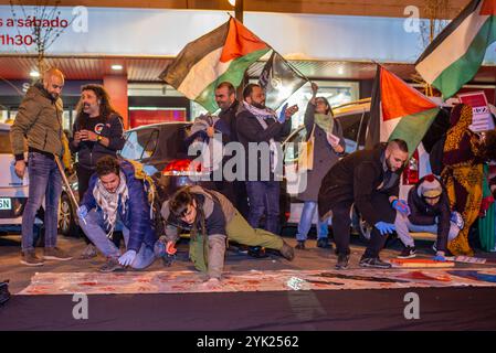 Logroño, La Rioja, Spanien. November 2024. Aktivistinnen und Aktivisten führen eine Kunstvorstellung während einer Demonstration zur Unterstützung Palästinas im Einkaufszentrum Carrefour in Logroño, Spanien, auf. Stockfoto