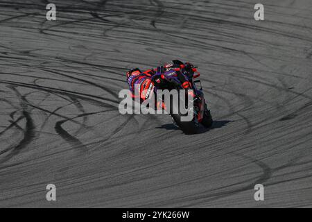 Barcelona, Spanien. November 2024. Qualifikation für den Motul Solidarity Grand Prix von Barcelona der MotoGP auf dem Barcelona-Catalunya Circuit. November 2024. Im Bild: Jorge Martin Clasificacion del Gran Premio Solidario Motul de MotoGP de Barcelona en el Circuito de Barcelona-Catalunya. 16 de Noviembre de 2024 POOL/ MotoGP.com/Cordon Pressebilder sind nur für redaktionelle Zwecke bestimmt. Obligatorischer Vermerk: © MotoGP.com Credit: CORDON PRESS/Alamy Live News Stockfoto