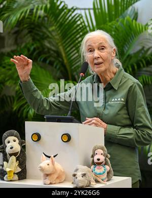 MUMBAI, INDIEN - 16. NOVEMBER: Die renommierte Naturschützerin und Primatologin Dr. Jane Goodall sprach während ihres Besuchs im Museum of Solution im Rahmen ihrer renommierten „Hope Global Tour“ am 16. November 2024 in Mumbai, Indien. Ihr Vortrag bietet Einblicke in das Verhalten von Schimpansen, die Bemühungen um Erhaltung und die Macht individueller Maßnahmen. Ihre Tour beginnt am Samstag mit den Ocean Literacy Dialogues (ALT) im CSMVS Museum. In Zusammenarbeit mit der Intergovernmental Oceanographic Commission (IOC) der UNESCO, dem British Council und dem CSMVS Museum wird Dr. Goodall den ersten Great Talk Vortrag halten Stockfoto