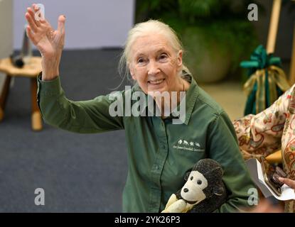 MUMBAI, INDIEN - 16. NOVEMBER: Die renommierte Naturschützerin und Primatologin Dr. Jane Goodall sprach während ihres Besuchs im Museum of Solution im Rahmen ihrer renommierten „Hope Global Tour“ am 16. November 2024 in Mumbai, Indien. Ihr Vortrag bietet Einblicke in das Verhalten von Schimpansen, die Bemühungen um Erhaltung und die Macht individueller Maßnahmen. Ihre Tour beginnt am Samstag mit den Ocean Literacy Dialogues (ALT) im CSMVS Museum. In Zusammenarbeit mit der Intergovernmental Oceanographic Commission (IOC) der UNESCO, dem British Council und dem CSMVS Museum wird Dr. Goodall den ersten Great Talk Vortrag halten Stockfoto