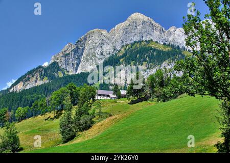 Nationalpark Gesäuse, Steiermark-Österreich. Stockfoto