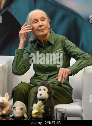 MUMBAI, INDIEN - 16. NOVEMBER: Die renommierte Naturschützerin und Primatologin Dr. Jane Goodall sprach während ihres Besuchs im Museum of Solution im Rahmen ihrer renommierten „Hope Global Tour“ am 16. November 2024 in Mumbai, Indien. Ihr Vortrag bietet Einblicke in das Verhalten von Schimpansen, die Bemühungen um Erhaltung und die Macht individueller Maßnahmen. Ihre Tour beginnt am Samstag mit den Ocean Literacy Dialogues (ALT) im CSMVS Museum. In Zusammenarbeit mit der Intergovernmental Oceanographic Commission (IOC) der UNESCO, dem British Council und dem CSMVS Museum wird Dr. Goodall den ersten Great Talk Vortrag halten Stockfoto