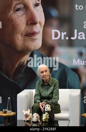 MUMBAI, INDIEN - 16. NOVEMBER: Die renommierte Naturschützerin und Primatologin Dr. Jane Goodall sprach während ihres Besuchs im Museum of Solution im Rahmen ihrer renommierten „Hope Global Tour“ am 16. November 2024 in Mumbai, Indien. Ihr Vortrag bietet Einblicke in das Verhalten von Schimpansen, die Bemühungen um Erhaltung und die Macht individueller Maßnahmen. Ihre Tour beginnt am Samstag mit den Ocean Literacy Dialogues (ALT) im CSMVS Museum. In Zusammenarbeit mit der Intergovernmental Oceanographic Commission (IOC) der UNESCO, dem British Council und dem CSMVS Museum wird Dr. Goodall den ersten Great Talk Vortrag halten Stockfoto