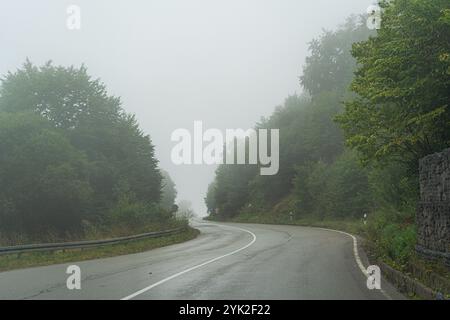 Rural road in the countryside of Georgia in summer season Stockfoto