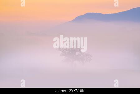 Nebeliger Morgen im Vorgebirge bei Murnau, Bayern, Deutschland Stockfoto