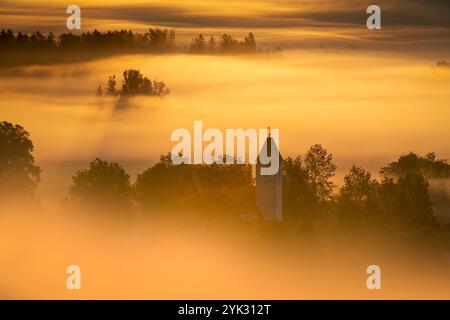 Sonnenaufgang und Nebel über dem Kochelmoos, Zell, Großweil, Bayern, Deutschland Stockfoto