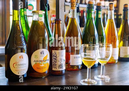 Verkostung verschiedener Apfelsorten und Calvados im Cidre House des Manoir de Grandouet in der Nähe von Cambremer im Pays d&#39;Auge im Calvados d Stockfoto