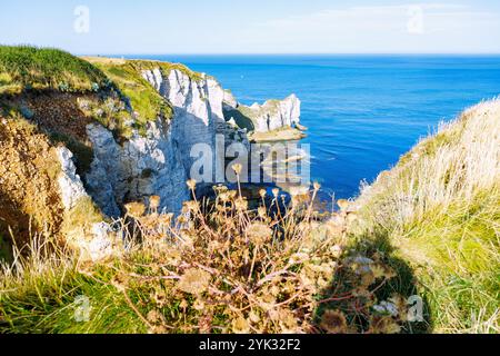 Kreidefelsen mit Felsbogen La Falasie d&#39;Aumont in Etretat (Etretat) an der Alabasterküste (Côte d&#39;Albâtre, Cote d&#39;Albatre) in der seine- Stockfoto