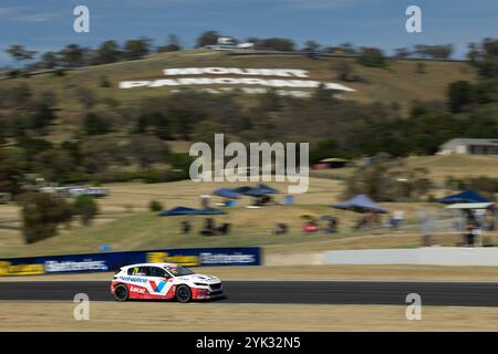 Bathurst, Australien, 10. November 2024. Ryan Casha fuhr für das Team Valvoline GRM Peugeot 308 TCR während des Supercheap Auto Bathurst International am 10. November 2024 in Bathurst, Australien. Quelle: Ivan Glavas/Speed Media/Alamy Live News Stockfoto