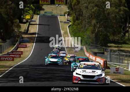 Bathurst, Australien, 10. November 2024. Ryan Casha fuhr für das Team Valvoline GRM Peugeot 308 TCR während des Supercheap Auto Bathurst International am 10. November 2024 in Bathurst, Australien. Quelle: Ivan Glavas/Speed Media/Alamy Live News Stockfoto