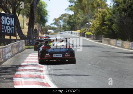 Bathurst, Australien, 10. November 2024. Tom Oliphant fuhr für HMO Customer Racing Hyundai i30N TCR während des Supercheap Auto Bathurst International am 10. November 2024 in Bathurst, Australien. Quelle: Ivan Glavas/Speed Media/Alamy Live News Stockfoto