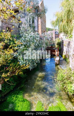 Wassermühle Le Moulin du Marché am Fluss La Veules in Veules-les-Rose an der Alabasterküste (Côte d&#39;Albâtre, Cote d&#39;Albatre) in der seine-M Stockfoto