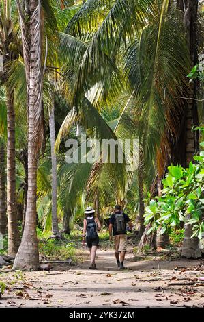 Spaziergang im Tayrona National Natural Park, Departement Magdalena, Karibische Region, Kolumbien, Südamerika Stockfoto