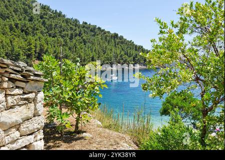 Bucht von Pupnatska luka, Pupnat, Insel Korcula, Kroatien, Südosteuropa Stockfoto