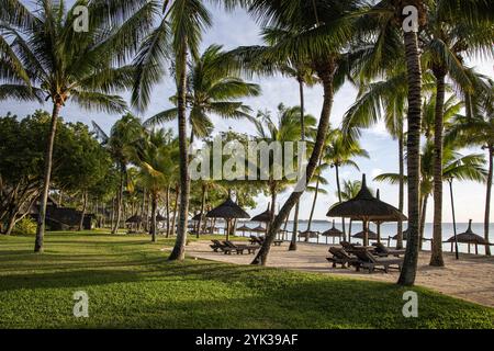 Kokospalmen, Rasenflächen, Liegestühle und Strohschirme am Strand des Trou aux Biches Beachcomber Golf Resort Stockfoto