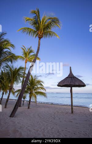 Kokospalmen und Strohschirm am Strand im Dinarobin Beachcomber Golf Resort Stockfoto