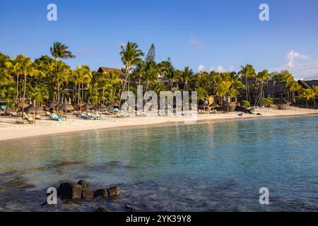 Sonnenliegen und Strohschirme am Strand mit Kokospalmen im Royal Palms Beachcomber Luxury (Beachcomber Resorts), Grand Baie, Rivière du Re Stockfoto