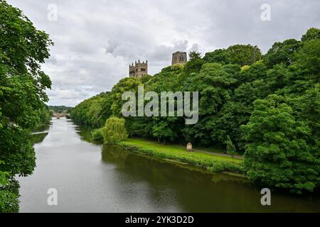 Die Kathedrale von Durham vom Fluss Wear aus gesehen, Durham, England, Großbritannien Stockfoto