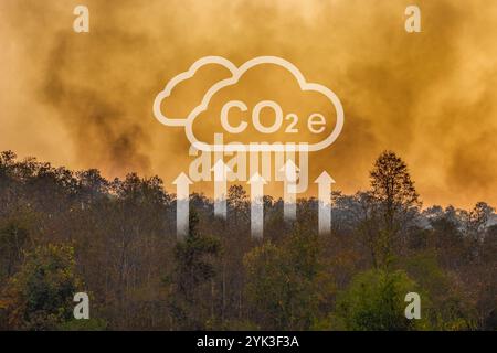 Klimawandel, tropische Waldbrände setzen Kohlendioxidemissionen (CO2) frei, die zum Klimawandel und zur globalen Erwärmung beitragen. Stockfoto