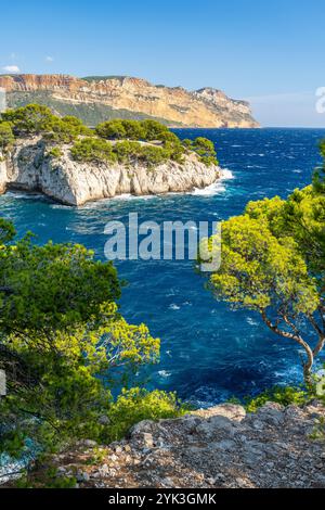 Blick auf Cap Canaille über die Calanque de Port Miou zwischen Cassis und Marseille, Provence, Frankreich, Europa Stockfoto