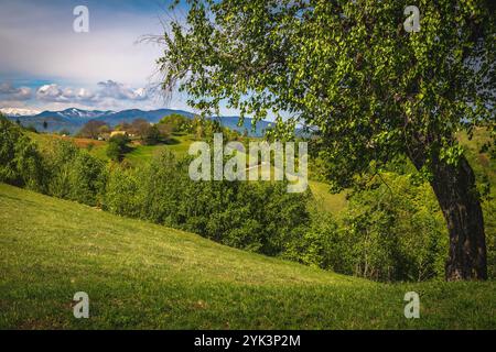 Wunderschöne ländliche Frühlingslandschaft und grüne Wiesen am Hang, Fagaras Berge im Hintergrund, Holbav, Rumänien, Europa Stockfoto