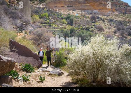 Machen Sie einen Spaziergang durch das Dana-Dorf, das Dana-Biosphärenreservat, Jordanien, den Nahen Osten, die südliche Levante, Westasien Stockfoto