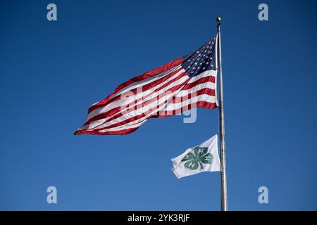 Flagge der Vereinigten Staaten. Die Nationalflagge der Vereinigten Staaten, oft auch als amerikanische Flagge oder US-Flagge bezeichnet, besteht aus dreizehn horizontalen Streifen, die im Wechsel rot und weiß sind, mit einem blauen Rechteck im Kanton, das fünfzig kleine, weiße, fünfzackige Sterne in neun horizontalen Reihen zeigt, in denen Reihen von sechs Sternen mit Reihen von fünf Sternen abwechseln. Die 50 Sterne auf der Flagge repräsentieren die 50 US-bundesstaaten und die 13 Streifen repräsentieren die 13 britischen Kolonien, die im Amerikanischen Unabhängigkeitskrieg die Unabhängigkeit von Großbritannien erlangten. Stockfoto