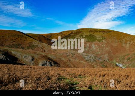 Der Long Mynd ist einer der Shropshire Hills, die sich in der ländlichen Grafschaft Shropshire in den West Midlands in England befinden. 1958 wurden die Shropshire Hills zusammen mit den umliegenden Ackerflächen, Wäldern und Flusstälern als Area of Outstanding Natural Beauty ausgewiesen. Das heute stillgelegte Kohlekraftwerk Ironbridge ist Teil der Landschaft von Shropshire und liegt am Ufer des Severn bei Buildwas in Shropshire Stockfoto