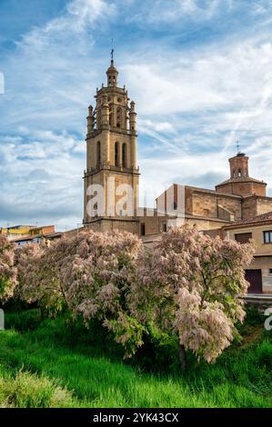 Los Arcos, Spanien – 25. Mai 2024: Der Glockenturm der Kirche Santa Maria de Arches. Stockfoto