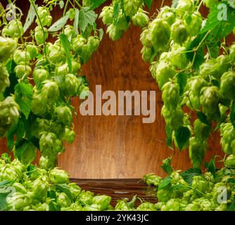 Frische grüne Hopfenblüten und üppige Blätter von Hopfenreben sind als Rahmen und Holzwand und Tisch im Hintergrund angeordnet. Eine Schlüsselkomponente des Aromas Stockfoto