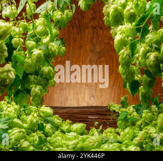 Frische grüne Hopfenblüten und üppige Blätter von Hopfenreben sind als Rahmen und Holzwand und Tisch im Hintergrund angeordnet. Eine Schlüsselkomponente des Aromas Stockfoto