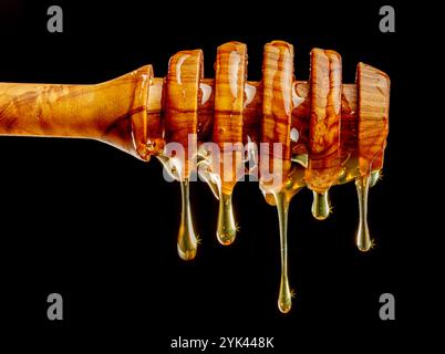 Goldener Honig tropft aus hölzernem Honiglöffel auf schwarzem Hintergrund. Stockfoto