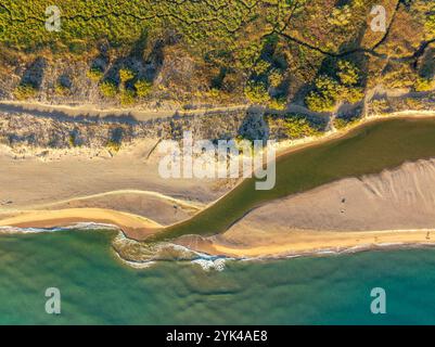 Aus der Vogelperspektive auf die Gola del Ter, die Mündung des Flusses Ter an einem Strand an der Costa Brava in der Empordà (Baix Empordà, Girona, Katalonien Spanien) Stockfoto