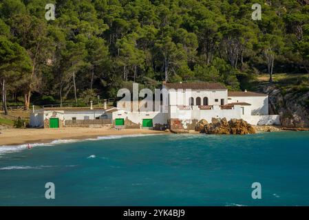 Strand Platja de Castell, an der Costa Brava, eine fast unberührte Bucht in der Nähe von Palamós (Baix Empordà, Girona, Katalonien, Spanien) Stockfoto