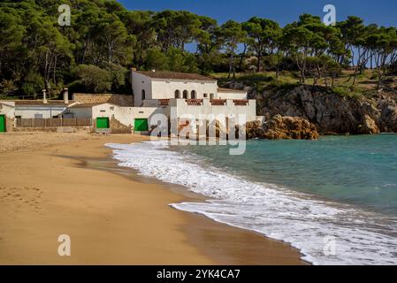 Strand Platja de Castell, an der Costa Brava, eine fast unberührte Bucht in der Nähe von Palamós (Baix Empordà, Girona, Katalonien, Spanien) Stockfoto