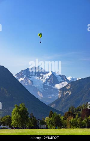 Gleitschirmfliegen über Hohematte Park mit Jungfrau Berg im Hintergrund, Interlaken, Schweiz Stockfoto