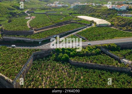 Autopista Autobahn durch üppige Bananenplantagen im nördlichen Teil Teneriffas, Kanarischen Inseln, Spanien. Stockfoto
