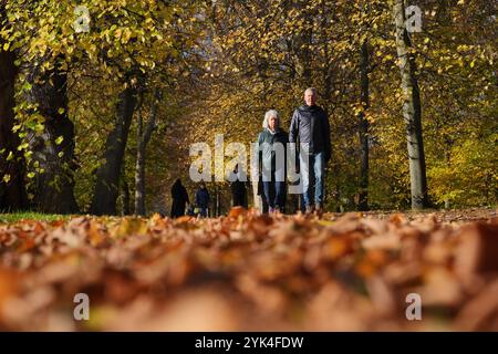 Leute, die im Hyde Park im Zentrum von London spazieren gehen. Bilddatum: Sonntag, 17. November 2024. Stockfoto