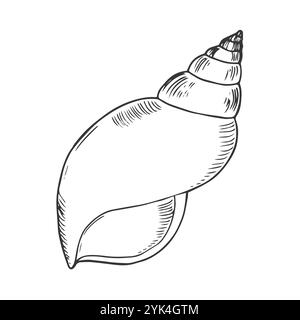 Vektorabbildung. Set mit einfachen Schalensilhouetten. Zeichnung von schwarzen Linien auf weißem Hintergrund, Doodle. Quadratische Seite des Malbuchs für Kinder. Stock Vektor