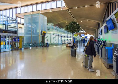 Reisende nutzen Selbstbedienungskioske am Newark Liberty International Airport mit modernem Design und offenem Layout. New Jersey, USA. Stockfoto