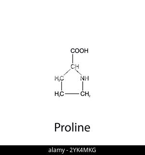 Chemische Formel des Prolins. Essentielle Aminosäuren. Organische Chemie. Vektor. Stock Vektor