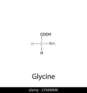 Chemische Formel des Glyzins. Essentielle Aminosäuren. Organische Chemie. Vektorabbildung. Stock Vektor