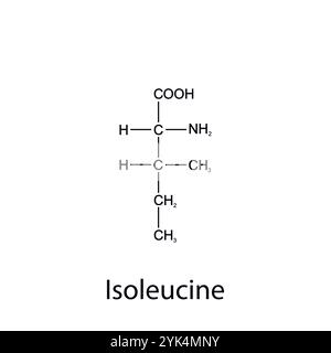 Chemische Formel von Isoleucin. Essentielle Aminosäuren. Organische Chemie. Vektor. Stock Vektor
