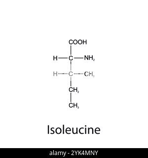 Chemische Formel von Isoleucin. Essentielle Aminosäuren. Organische Chemie. Vektorabbildung. Stock Vektor