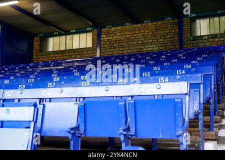 Goodison Park, Liverpool, Großbritannien. Sonntag, 17. November 2024, Barclays Women’s Super League: Everton FC Women vs Liverpool FC Women im Goodison Park. Sitzplätze im Goodison Park. James Giblin/Alamy Live News. Stockfoto