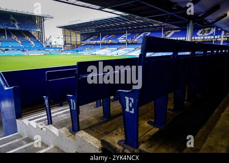 Goodison Park, Liverpool, Großbritannien. Sonntag, 17. November 2024, Barclays Women’s Super League: Everton FC Women vs Liverpool FC Women im Goodison Park. Allgemeiner Blick auf Goodison Park. James Giblin/Alamy Live News. Stockfoto