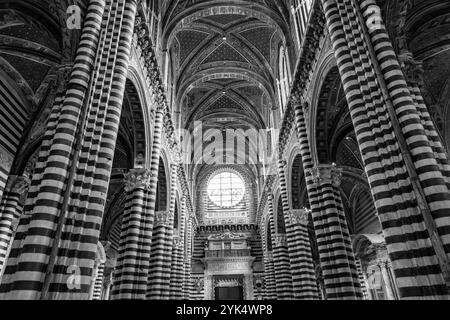 Siena, Italien - 7. April 2022: Innenansicht der Kathedrale von Siena in Siena, die der Himmelfahrt der Maria gewidmet ist. Stockfoto